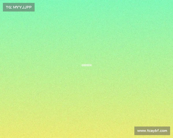 世锦赛女排赛制